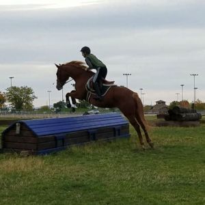 Meet your Posher, Shaelee